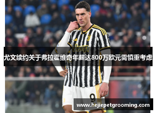 尤文续约关于弗拉霍维奇年薪达800万欧元需慎重考虑